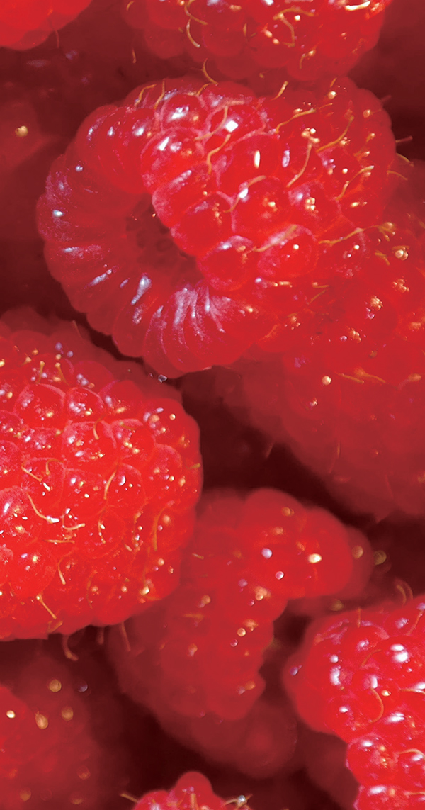 Raspberry Ketone